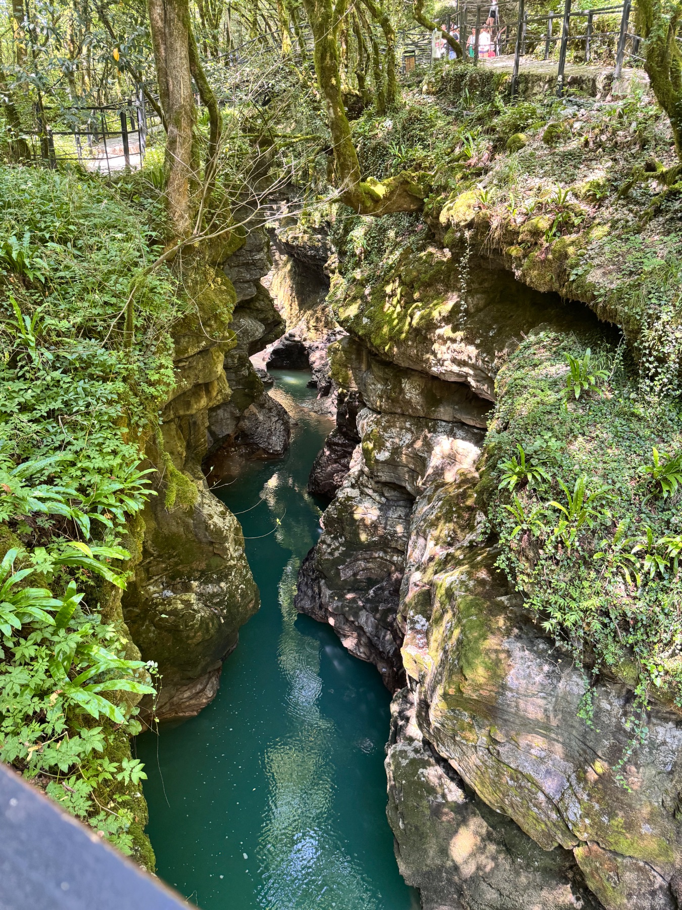 Martvili