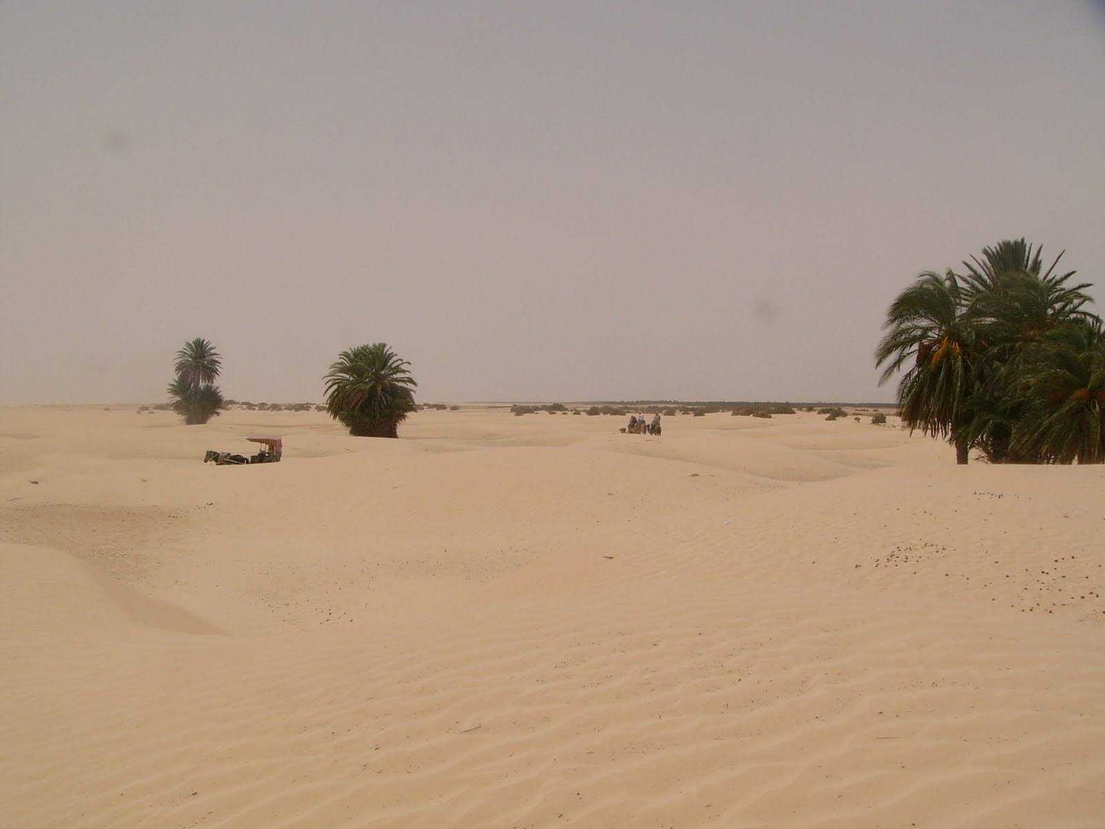 Djerba 🇹🇳