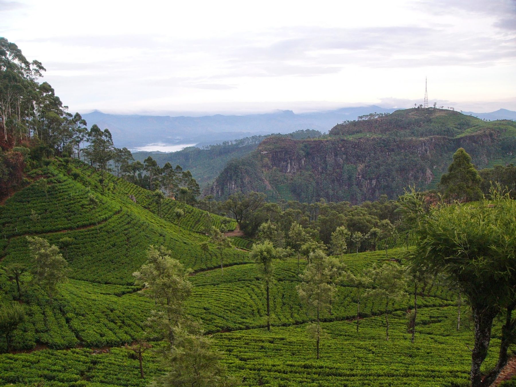 Sri Lanka 🇱🇰